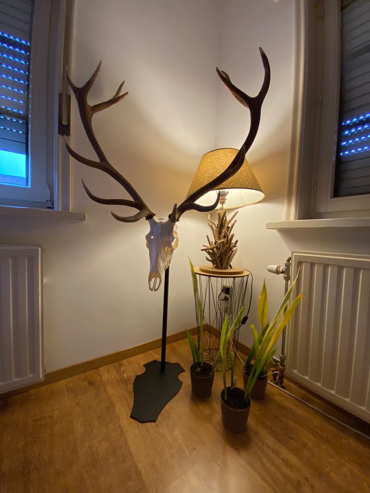 Cranium Design Support trofee Altum