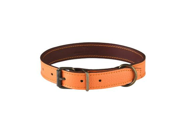 Alexandre Mareuil hondenhalsband