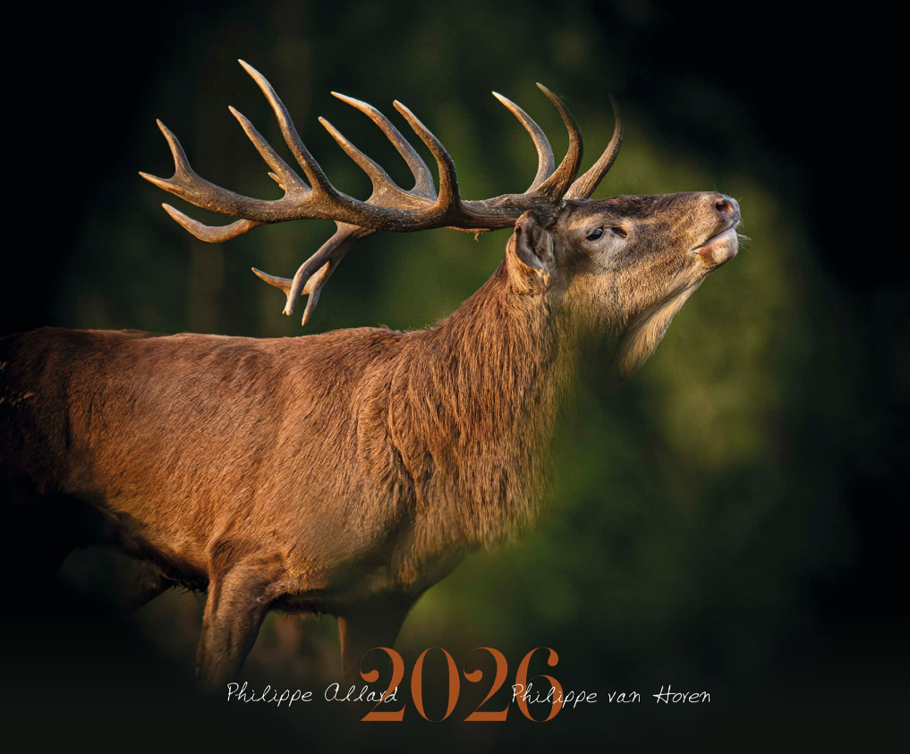 Calendrier 2026 Philippe ALLARD