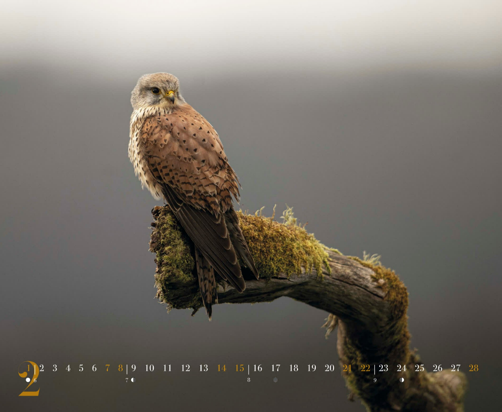 Calendrier 2026 Philippe ALLARD