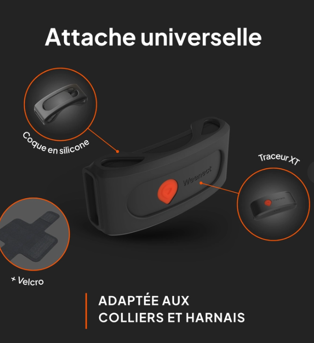 Weenect XT Traceur Gps pour chien