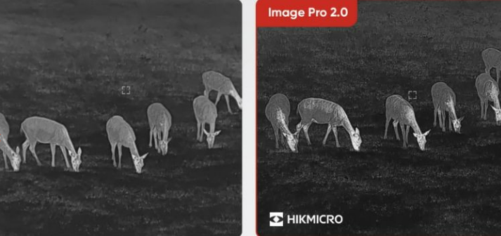 Hikmicro Habrok Pro HX60 LN
