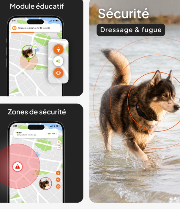 Weenect XT Traceur Gps pour chien