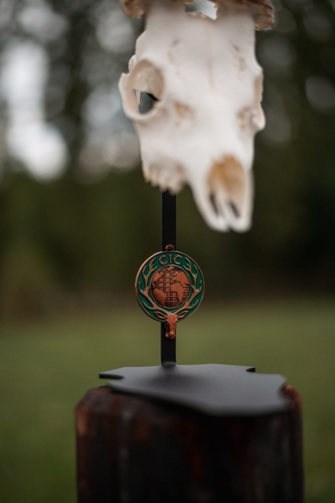 Cranium Design Parvus d&