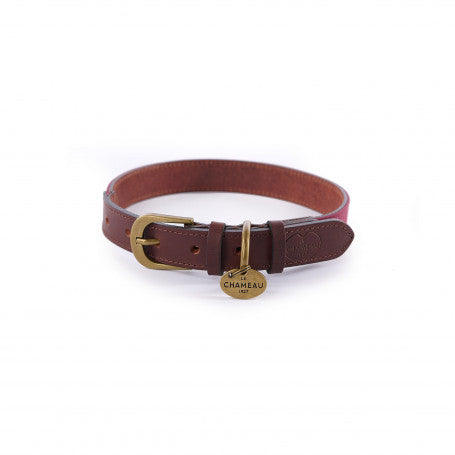 Le Chameau Collier Chien cuir et coton huilé XL